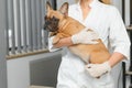 Happy veterinarian doctor hugs puppy in vet clinic. Empty space for text.