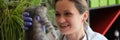 Happy veterinarian examines kitten in clinic closeup