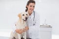 Happy veterinarian examining a cute dog