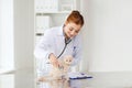 Happy veterinarian with kitten at vet clinic