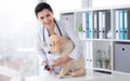 Happy veterinarian treating dog