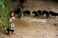 Happy Vietnamese children playing Royalty Free Stock Photo