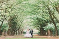 Happy wedding couple charming groom and blonde bride dancing in park at sunny day