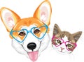 Happy welsh corgi and cute cat in glasses heart shaped