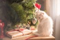 Happy white  cat plays with a Christmas toy. New year season, holidays and celebration. Naughty cute kitten near fir tree Royalty Free Stock Photo