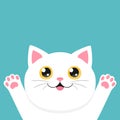 Happy white peeking cat. Curious cat. Cute cartoon character