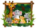 Happy wild animals in frame square forest Royalty Free Stock Photo