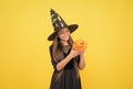 happy witch teenage girl with pumpkin jack o lantern wear costume of wizard on halloween party, halloween pumpkin Royalty Free Stock Photo