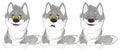 Three different wolfs