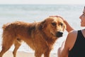 Happy woman caressing cute dog on sunny beach at sea, close up. Summer vacation with pet. Young female relaxing and enjoying Royalty Free Stock Photo