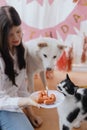 Happy woman with dog and cat celebrating birthday with sausage cake and candle in room with garland Royalty Free Stock Photo