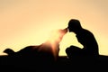 Happy Woman and Dog Outside Silhouette Royalty Free Stock Photo