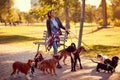 Happy woman dog walker with dogs enjoying in funny walking Royalty Free Stock Photo