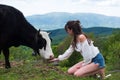 Happy woman feeding cow. Girl feeding black and white cow on meadow. Vegan, vegetarian concept. Take in veggie. Healthy Royalty Free Stock Photo