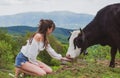 Happy woman feeding cow. Girl feeding black and white cow on meadow. Vegan, vegetarian concept. Take in veggie. Healthy Royalty Free Stock Photo