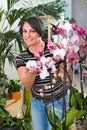 Happy woman florist showing multicolored phalaenopsis flowers