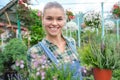 Happy  woman gardener choosing flower pot with anthuriums in garden center Royalty Free Stock Photo