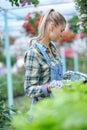 Happy  woman gardener choosing flower pot with anthuriums in garden center Royalty Free Stock Photo