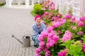 Happy woman gardener with flowers. woman care of flowers in garden or greenhouse. gardener is happy for results