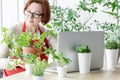 Laptop woman greens plant greenhouse workplace online meeting houseplant