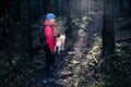 Happy woman hiking walking with dog Royalty Free Stock Photo