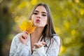 Happy woman holding autumn leafs on face in fall nature. Portrait of young woman with autumn maple leaves outdoor Royalty Free Stock Photo