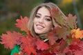 Happy woman holding autumn leafs on face in fall nature. Portrait of young woman with autumn maple leaves outdoor Royalty Free Stock Photo