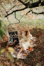 Happy Woman Life Style, beautiful asian girl on the nature picnic with fruits. Relaxing asian woman in Nature. Autumn landscape Royalty Free Stock Photo