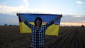 Happy woman looks into camera standing on wheat field with a lifted blue-yellow banner at sunset. Ukrainian smiling lady
