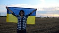 Happy woman looks into camera standing on wheat field with a lifted blue-yellow banner at sunset. Ukrainian smiling lady
