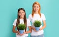 Happy woman mother and adopted daugher child smile holding pot plants blue background, fostering