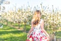 Happy Woman in an orchard at springtime. Enjoying sunny warm day. Retro style dress. Blooming blossom cherry trees Royalty Free Stock Photo