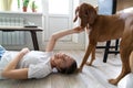 Happy woman owner playing with her lovely Vizsla dog lying on the floor at home. Pet lovers. Royalty Free Stock Photo