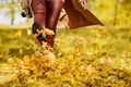 Happy woman playing with autumn leaves in forest