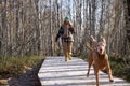 Happy woman running with dog on wooden path on nature eco trail in Scandinavian nature forest park Royalty Free Stock Photo