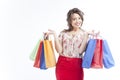 Happy woman with shopping bags Royalty Free Stock Photo