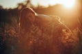 Happy woman sits, enjoys and sniffs wildflowers in meadow at sunset