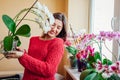 Happy woman smelling blooming white orchid holding pot. Girl gardener taking care of home plants and flowers. Royalty Free Stock Photo