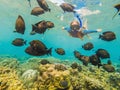 Happy woman in snorkeling mask dive underwater with tropical fishes in coral reef sea pool. Travel lifestyle, water Royalty Free Stock Photo