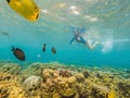 Happy woman in snorkeling mask dive underwater with tropical fishes in coral reef sea pool. Travel lifestyle, water Royalty Free Stock Photo