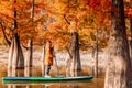 Happy woman on stand up paddle board at the lake with Taxodium trees. Woman on SUP board Royalty Free Stock Photo