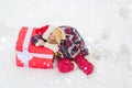 Happy woman standing on white snow background and holding a giant red gift box with both hands. Christmas Girl holding a Royalty Free Stock Photo