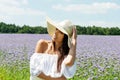 Happy woman in summer field. Young girl relax outdoors. Freedom concept. Royalty Free Stock Photo