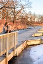 Smiling woman standing on wooden bridge in winter Royalty Free Stock Photo