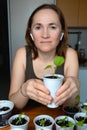 Happy woman at the table holding a glass with seedlings. Transplanting eggplant seedlings. Royalty Free Stock Photo