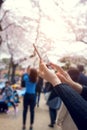 Happy woman traveler take photos by camera with cherry blossoms Royalty Free Stock Photo