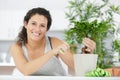 happy woman trimming bonsai tree Royalty Free Stock Photo