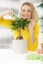 happy woman trimming bonsai tree Royalty Free Stock Photo