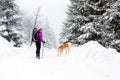 Happy woman walking in winter forest with dog Royalty Free Stock Photo