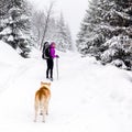 Happy woman walking in winter woods with dog Royalty Free Stock Photo